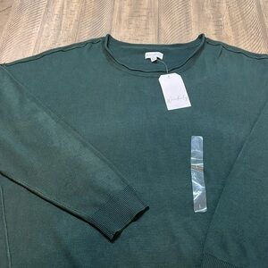 460 NWT Wonderly size large green sweater